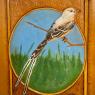 Scissor-tail_Flycatcher