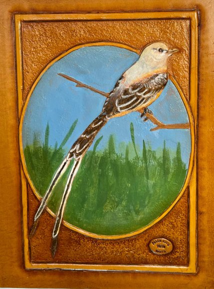 Scissor-tail_Flycatcher